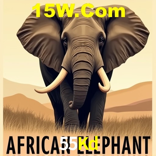 Experiência VIP 55Kd